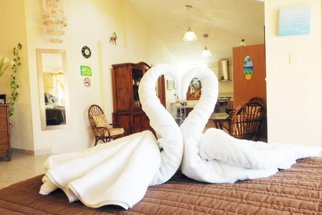 Appartement Casa El Quinto Elemento, Departamento Tierra! à Isla Mujeres Extérieur photo